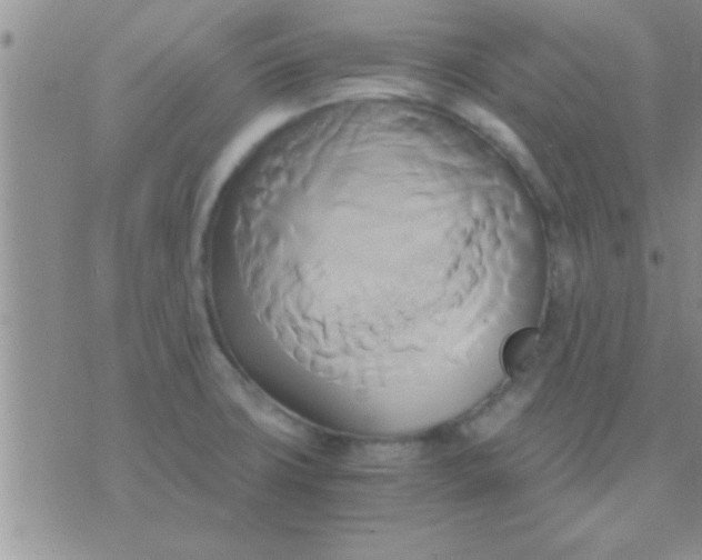 X0000071381427200607142059