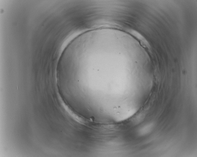 X0000071381431200607142059