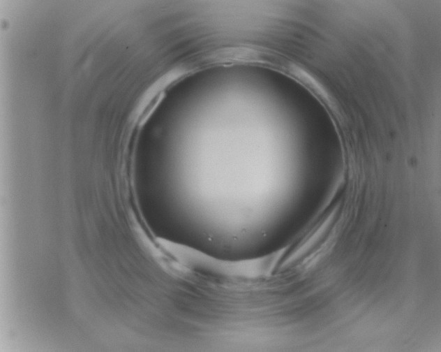 X0000071381434200607142059