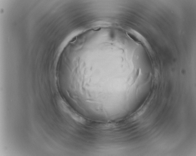 X0000071381435200607142059