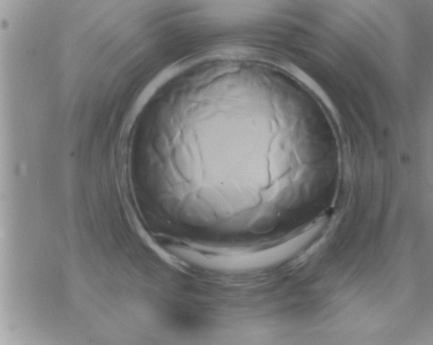 X0000071381437200607142059