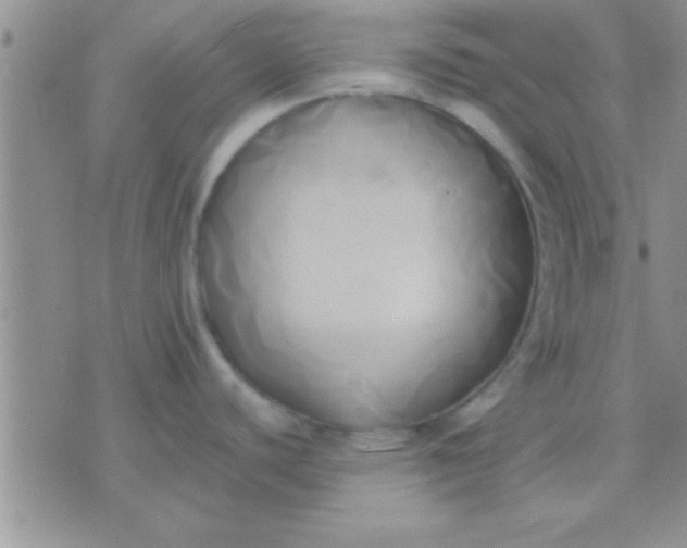 X0000071381440200607142059