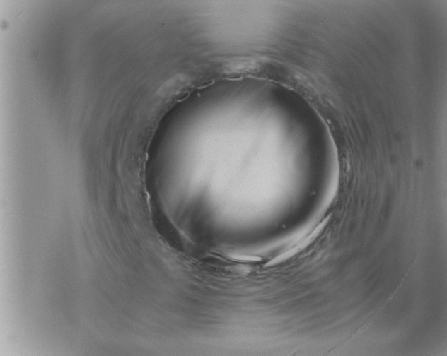 X0000071381441200607142059