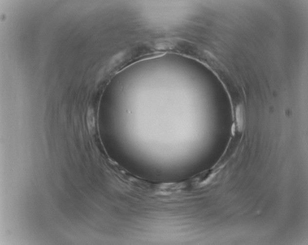 X0000071381443200607142059