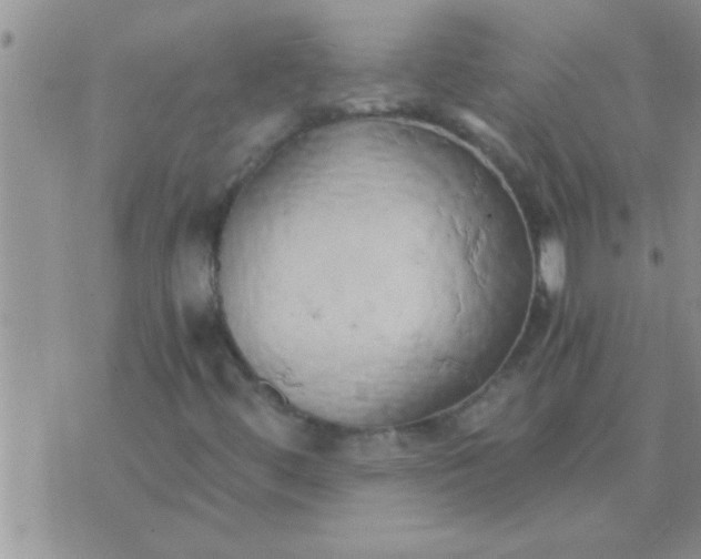 X0000071381444200607142059