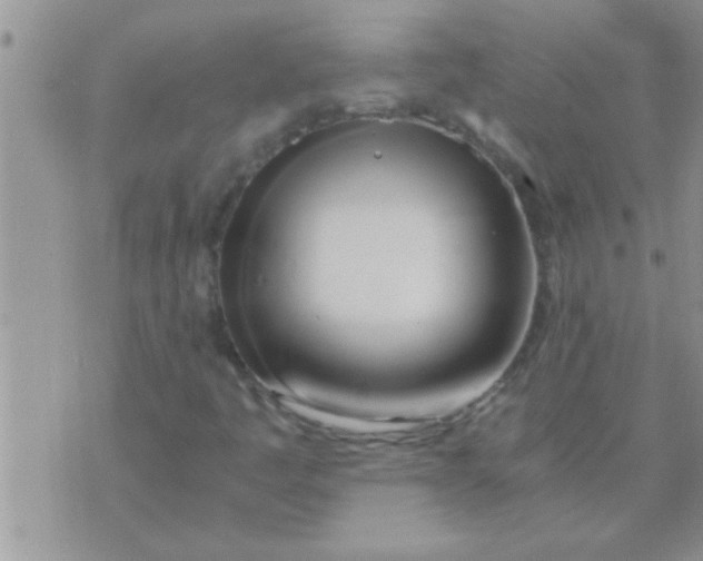 X0000071381445200607142059