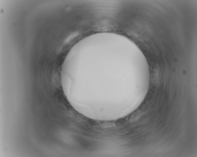 X0000071381446200607142058