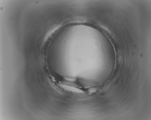 X0000071381448200607142058