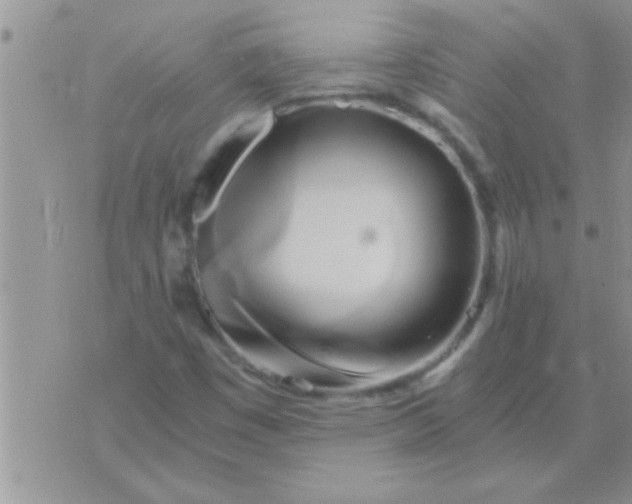 X0000071381449200607142058