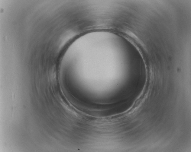 X0000071381450200607142058