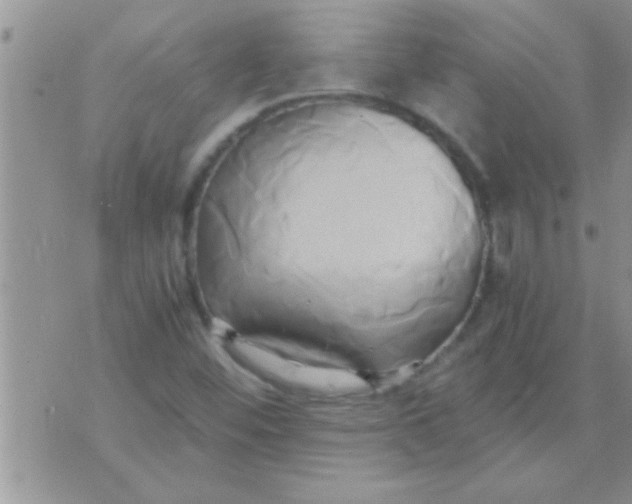 X0000071381452200607142058