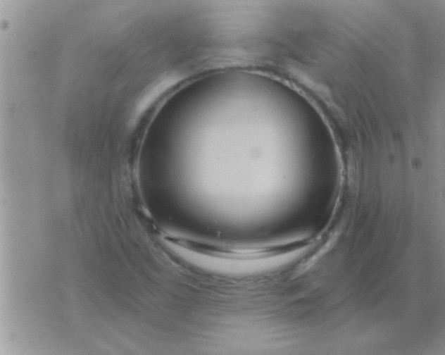 X0000071381453200607142058