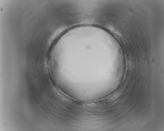 X0000071381454200607142058