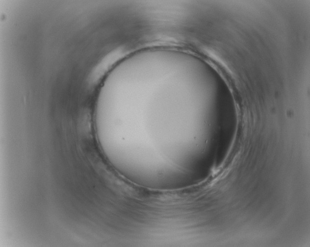 X0000071381455200607142058