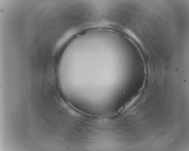 X0000071381456200607142058