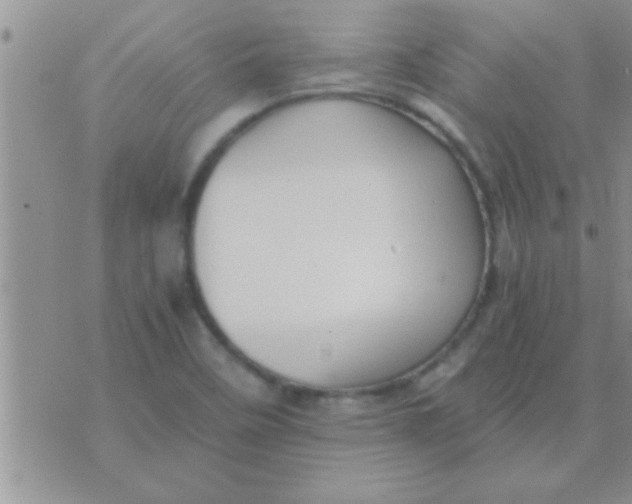 X0000071381458200607142058