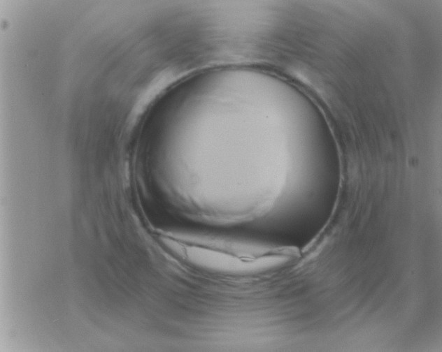 X0000071381459200607142058