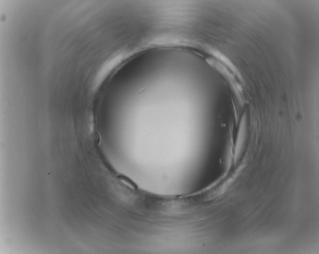 X0000071381461200607142058