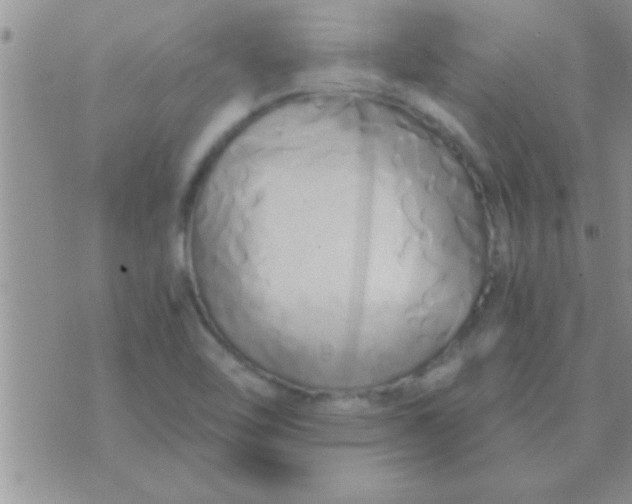 X0000071381462200607142058