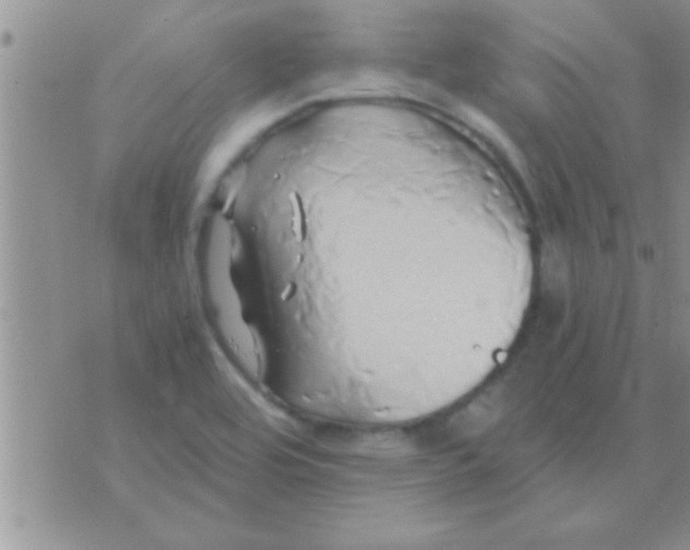 X0000071381464200607142058