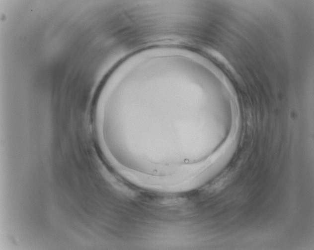 X0000071381466200607142058