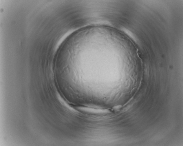 X0000071381468200607142058