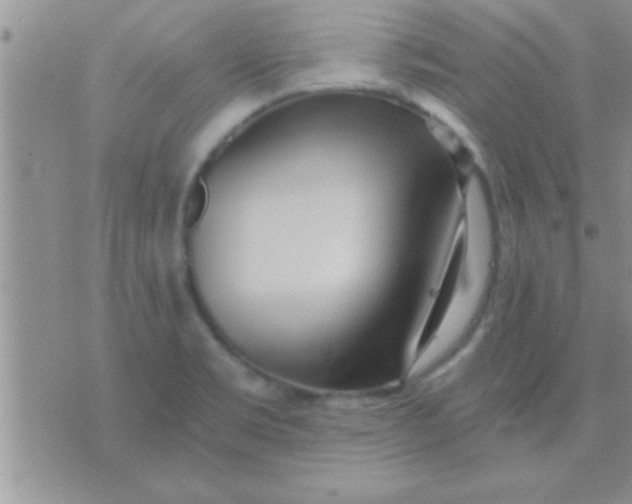 X0000071381469200607142058