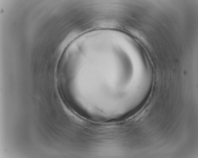 X0000071381471200607142058