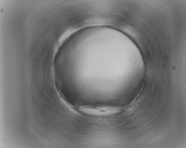 X0000071381472200607142058