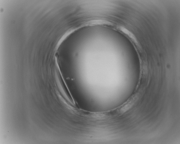 X0000071381473200607142058