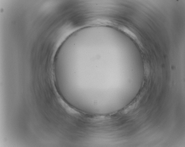 X0000071381478200607142058