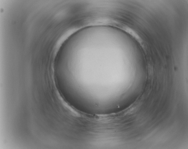 X0000071381480200607142058