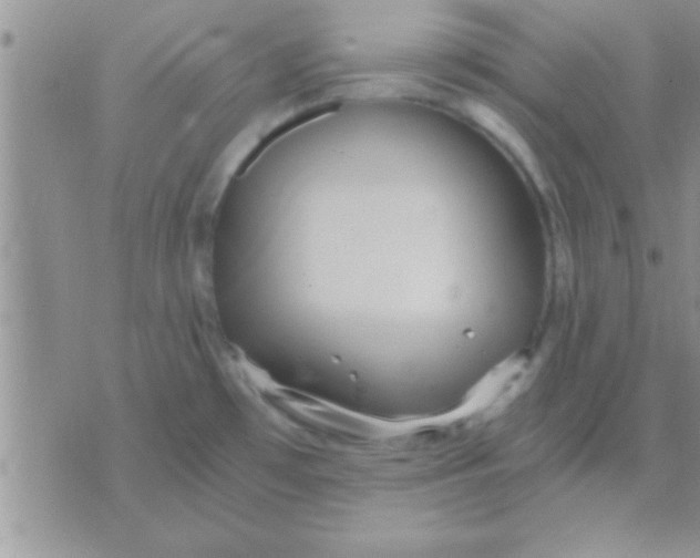 X0000071381481200607142058