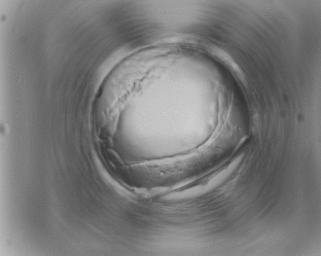 X0000071381483200607142058