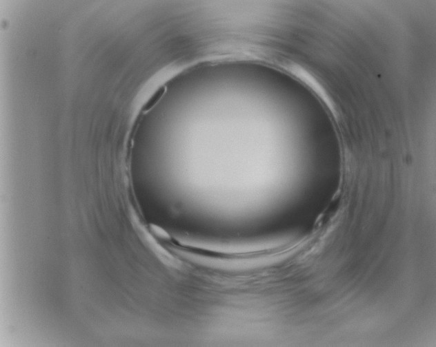 X0000071381485200607142058