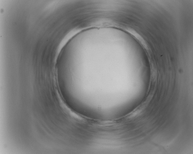 X0000071381486200607142058