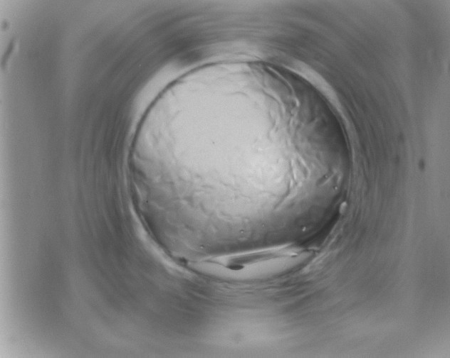 X0000071381488200607142058