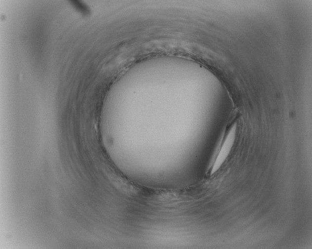 X0000071381489200607142057