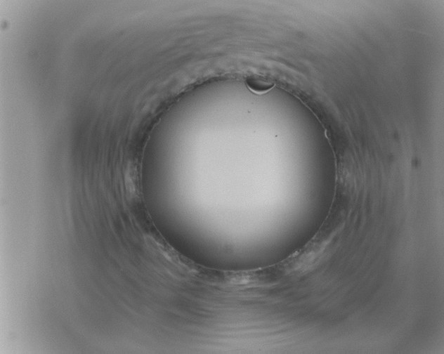 X0000071381490200607142057