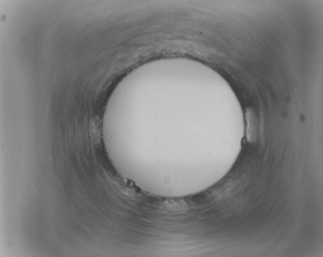 X0000071381491200607142057