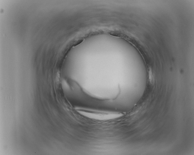 X0000071381492200607142057