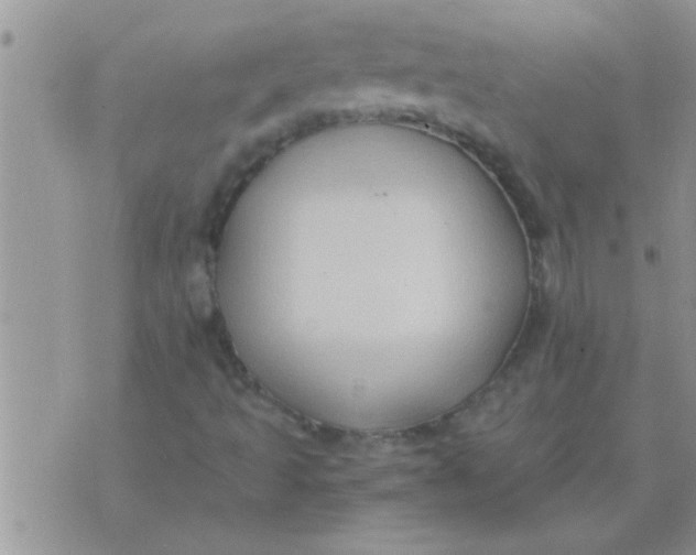 X0000071381493200607142057