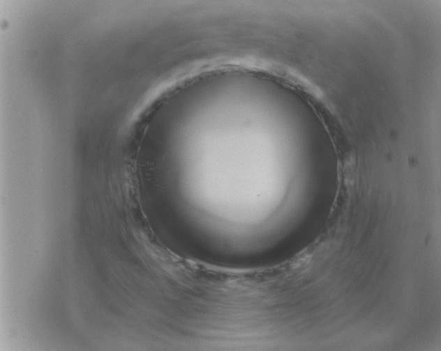 X0000071381496200607142057