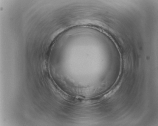 X0000071381497200607142057