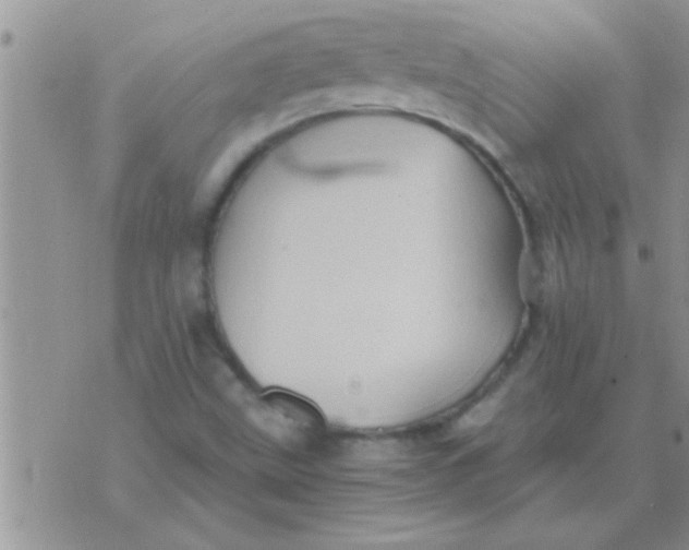 X0000071381499200607142057