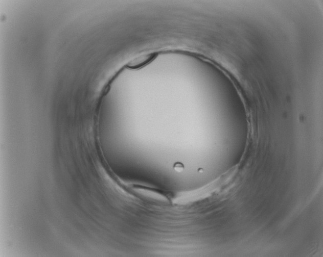 X0000071381500200607142057