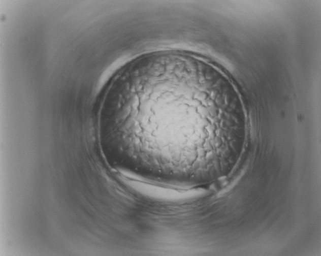 X0000071381501200607142057