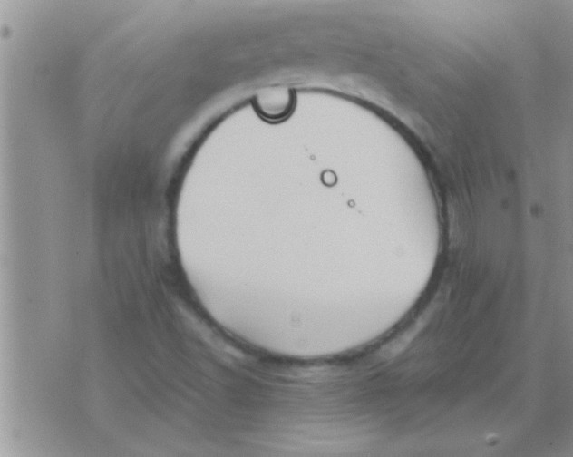 X0000071381502200607142057