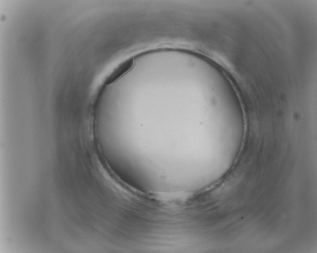 X0000071381504200607142057