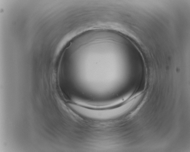 X0000071381506200607142057